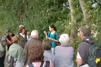 Balade gourmande groupes