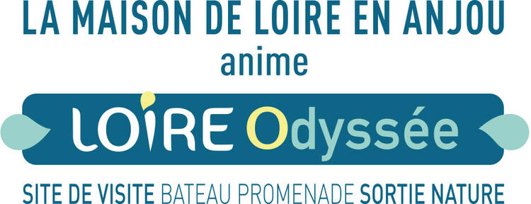 logo asso mdla