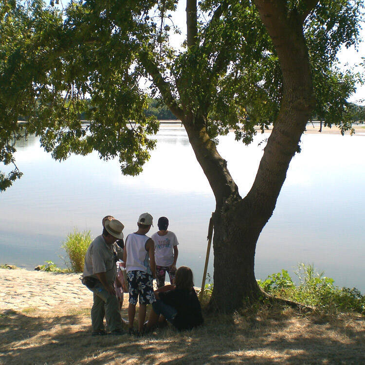 petit naturaliste de loire
