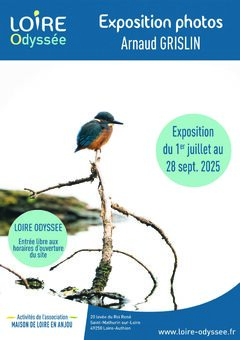 affiche grislin