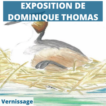 Expo artistique Dominique Thomas