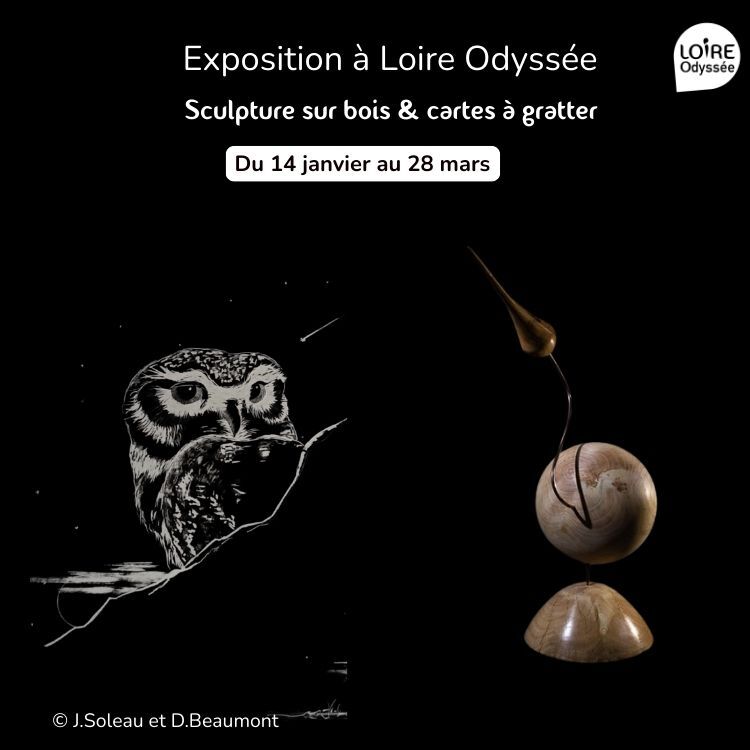 Vernissage  Joel Soleau - Dominique Beaumont